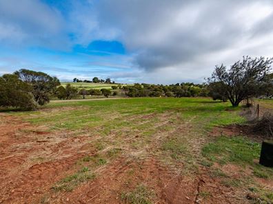 17 Forrest Street, Northampton WA 6535