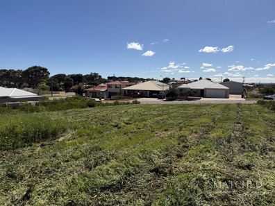 6 Bond Street, Port Denison WA 6525