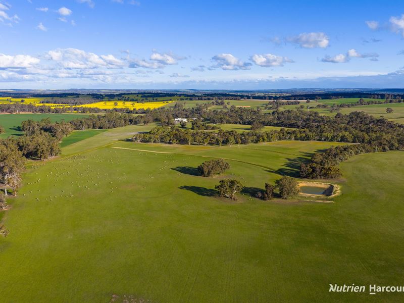 1722 Williams-Darkan Road, Williams