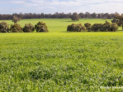 1722 Williams-Darkan Road, Williams WA 6391