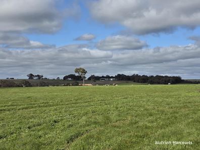57 Ward Place, Frankland River WA 6396