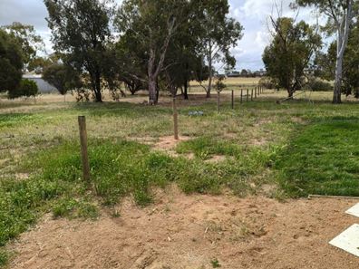 164 Vincent Street, Beverley WA 6304