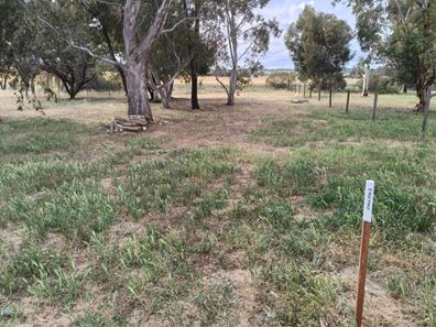 164 Vincent Street, Beverley WA 6304