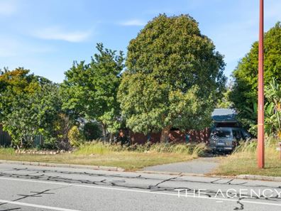 197 Westfield Street, Maddington WA 6109