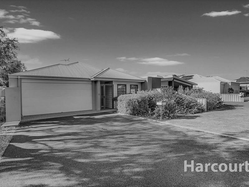 A/13 Baloo Crescent, Falcon