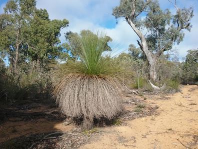 130 Powder Bark Rd, Toodyay WA 6566