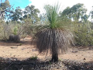 130 Powder Bark Rd, Toodyay WA 6566