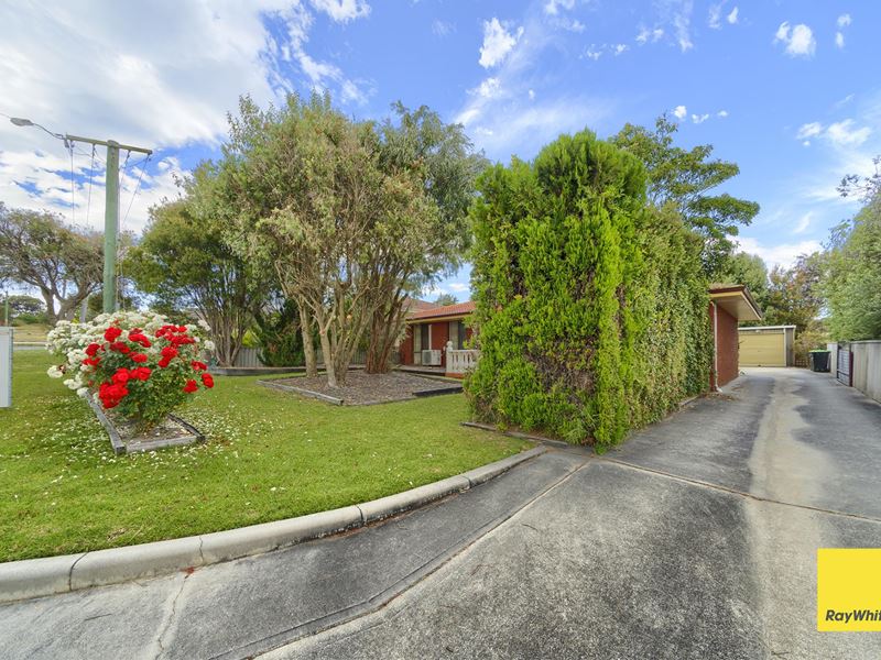 10 Hugel Place, Spencer Park