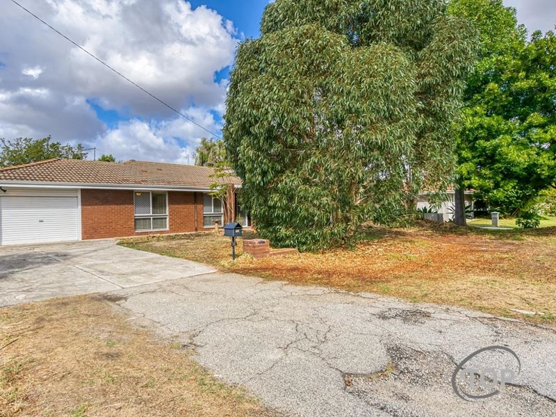 38 Salmon Gum Rise, Willetton