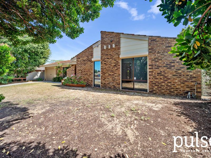 144 Winterfold Road, Kardinya