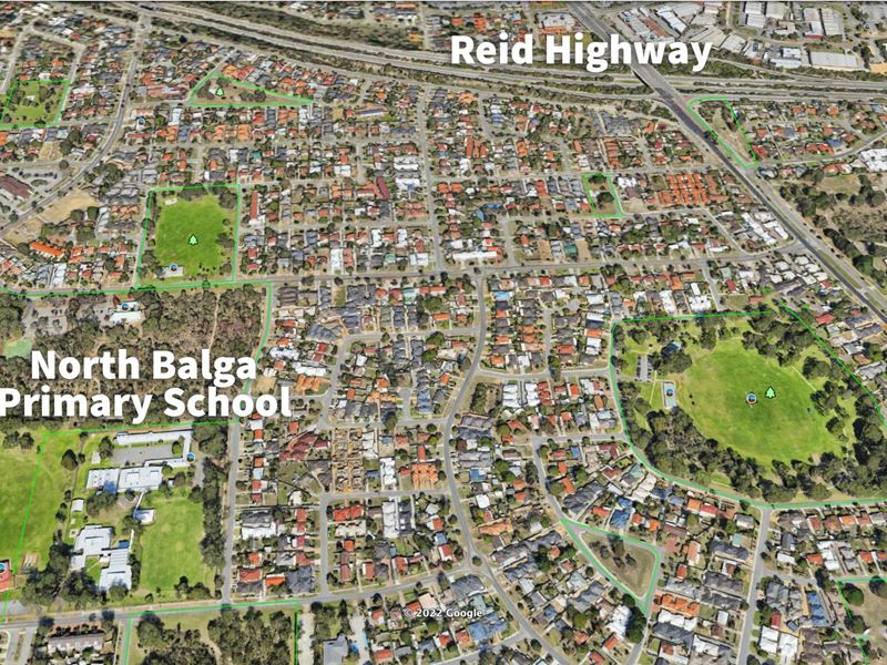 Balga