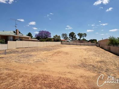 5 Dall Street, Quairading WA 6383