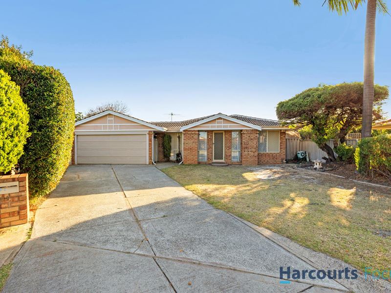 31 Greengage Court, Armadale WA 6112