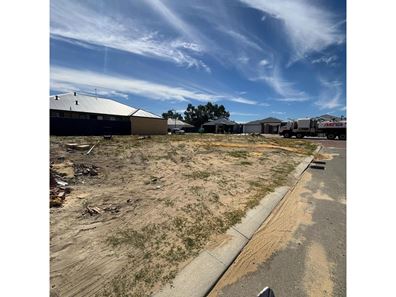 72 Avoca Chase , Baldivis WA 6171