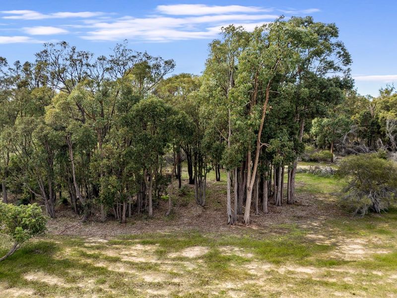 Lot 48,  Preston River Rise, Boyanup