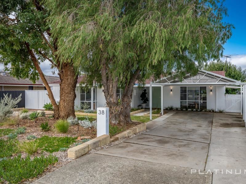 38 Mario Way, Craigie WA 6025