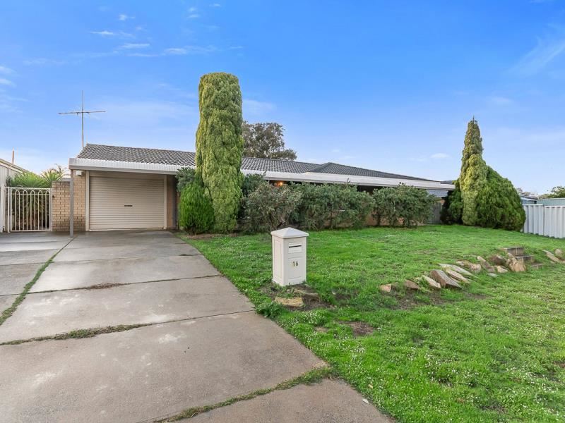 16 Katrine Way, Hamersley WA 6022