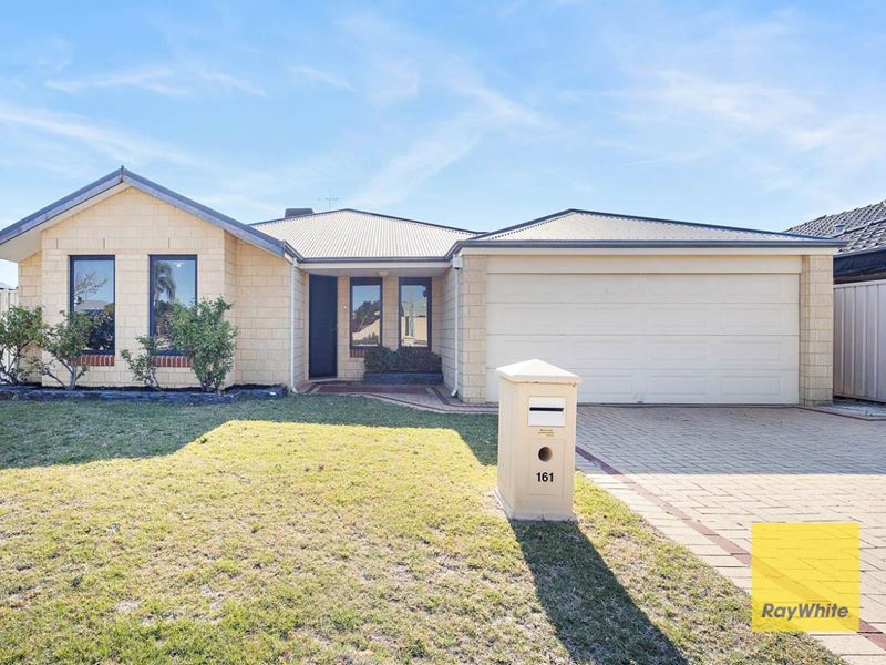 161 Harpenden Street, Huntingdale