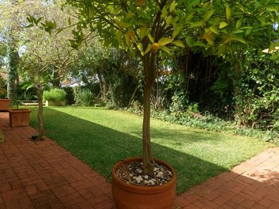 110B Gugeri Street, Claremont WA 6010