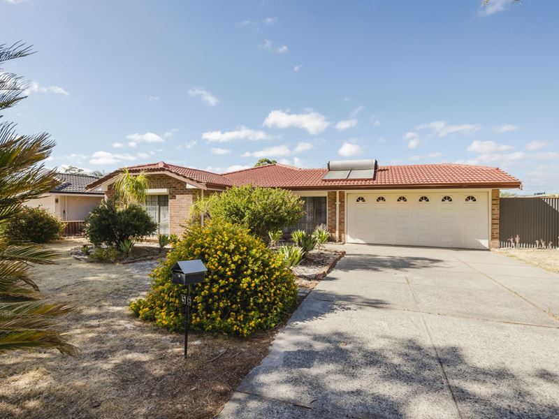 56 Jacaranda Drive, Ballajura WA 6066