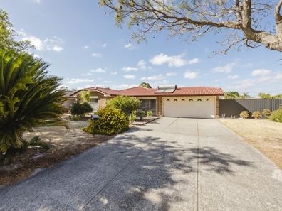 56 Jacaranda Drive, Ballajura WA 6066