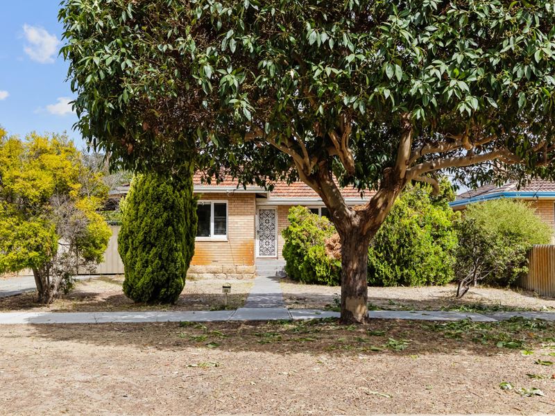 66 Gardiner Street, Belmont