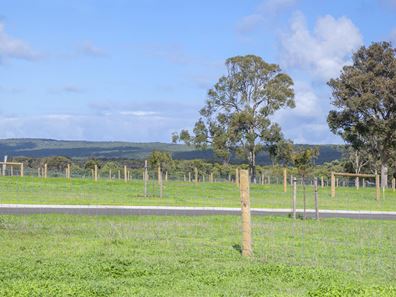 Lot 124, 12 Kingston Powels Way, Kudardup WA 6290
