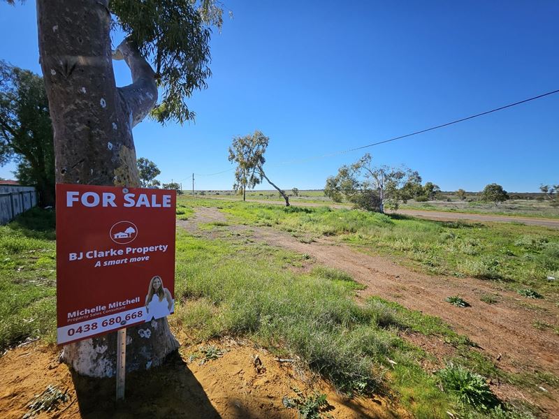 7 O'Brien Street, Mullewa