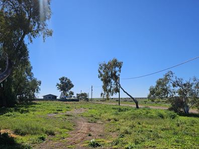 7 O'Brien Street , Mullewa WA 6630