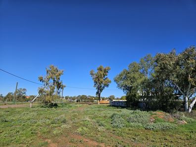 7 O'Brien Street , Mullewa WA 6630