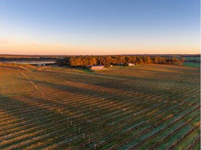 186 Ferngrove Road, Frankland River WA 6396