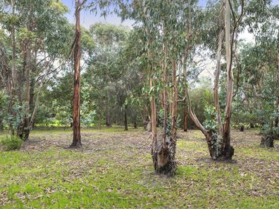 9 Lukes Road, Augusta WA 6290