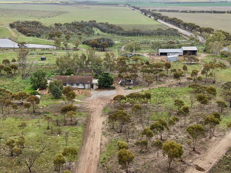 2431 Dowerin-Kalannie Road, Minnivale
