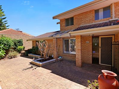 31 Lynton Street, Doubleview WA 6018