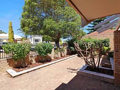 31 Lynton Street, Doubleview WA 6018