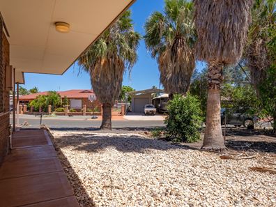 20 Mccamey Loop, Baynton WA 6714