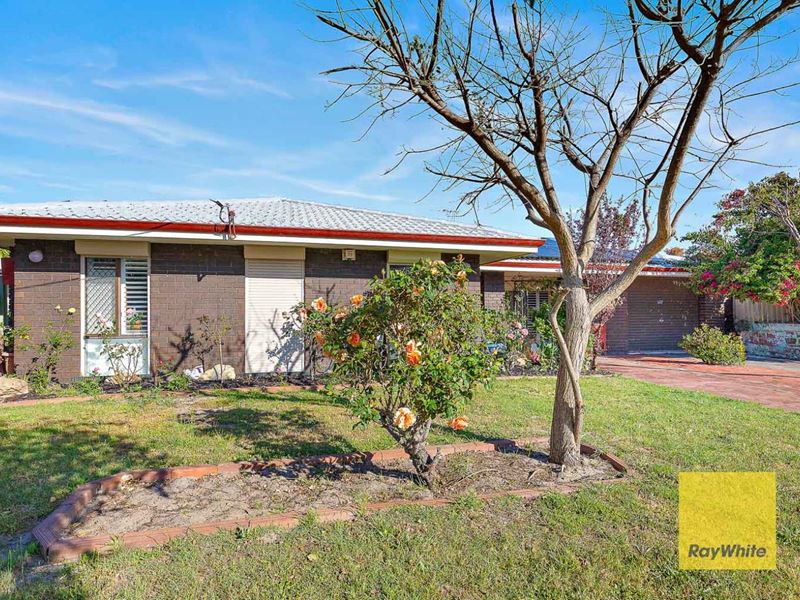 160 Berehaven Avenue, Thornlie WA 6108