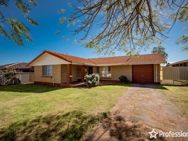 17 Pollett Street, Spalding WA 6530