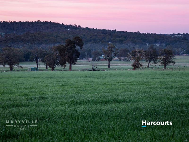 Lot 713 Zebu Road, Lower Chittering
