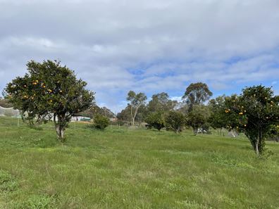 28 FORREST HILLS PARADE, Bindoon WA 6502