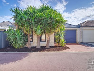 6/1 Cottonwood Drive, Baldivis WA 6171