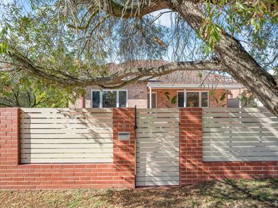 64 Enfield Street, Lathlain WA 6100