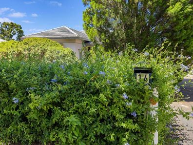 14 Toorak Road, Rivervale WA 6103