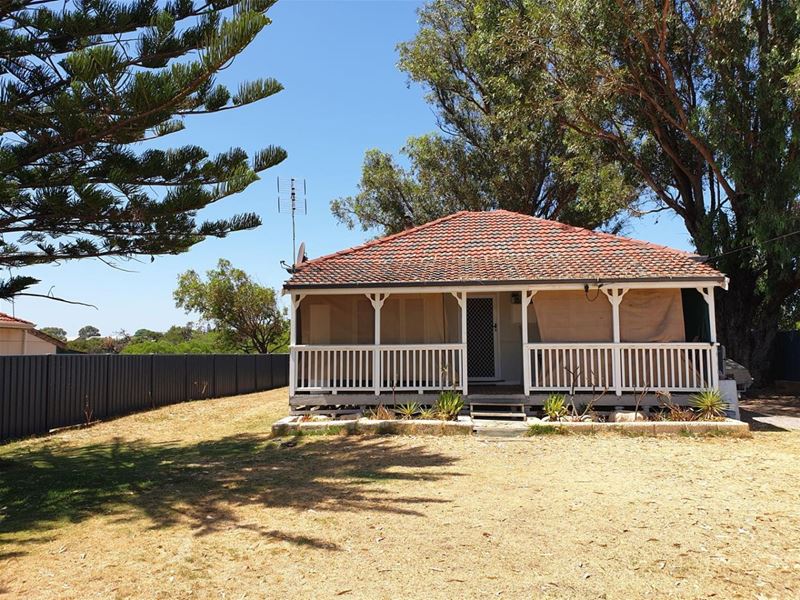 11 Armstrong St, Dongara WA 6525