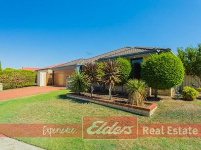 40 Coldicott Terrace, Baldivis WA 6171