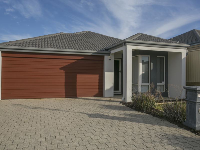 81 Bristlebird Approach, Baldivis WA 6171