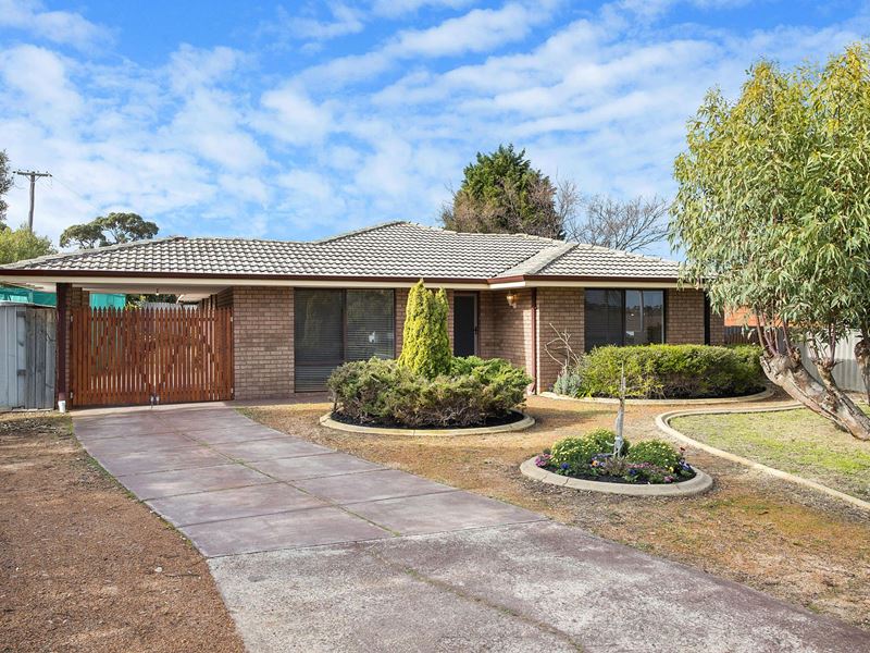 102 Chadstone Road, Craigie