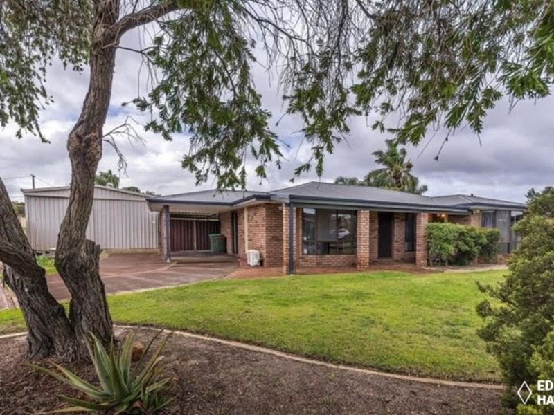 87 Dotterel Way, Yangebup