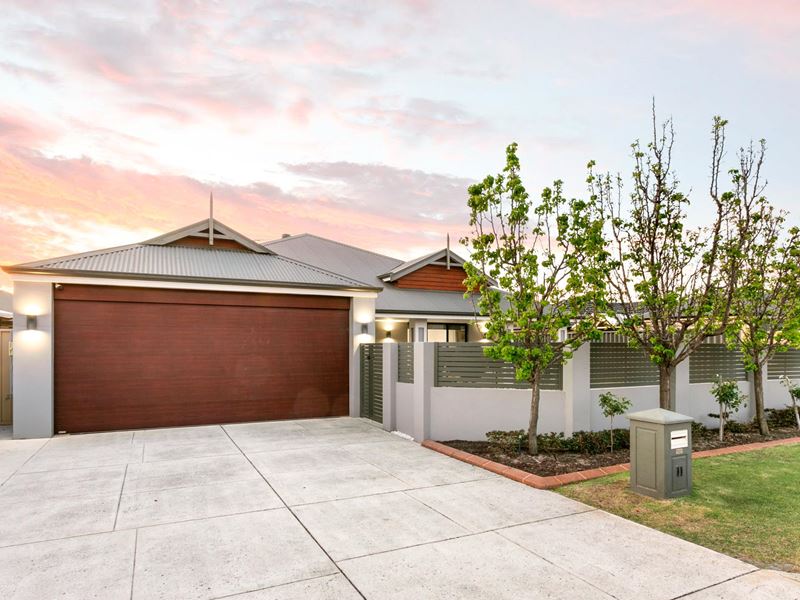 11 Neroli Link, Atwell WA 6164