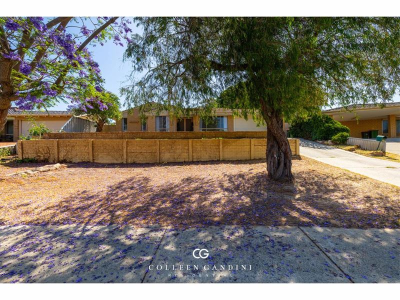20 Masefield Avenue, North Lake